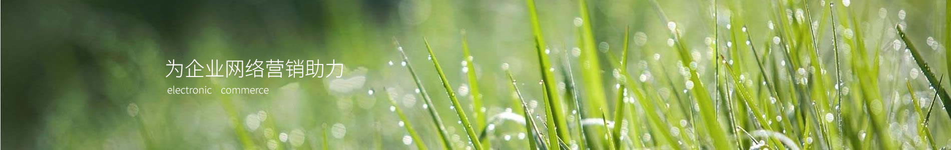 ϱ˹ֽ޹˾